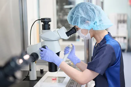 眼科再生医療　細胞培養の様子