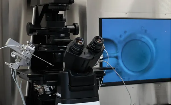 生殖医療（卵巣・子宮内投与）