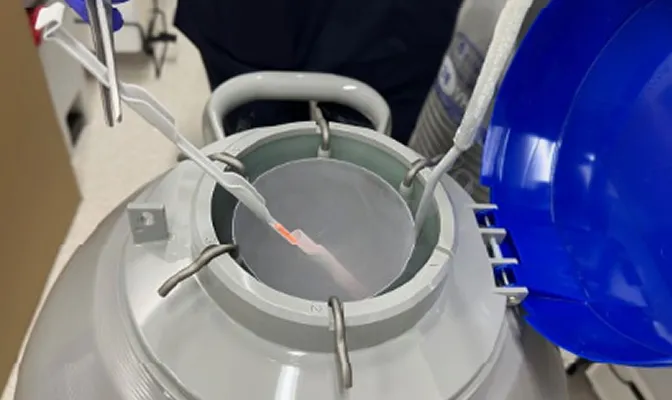 生殖医療のイメージ写真